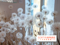 Le Musée Guimet propose une Carte blanche à Duy Anh Nhan Duc