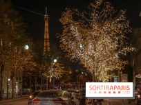 Illuminations de Noël 2021 de l'avenue Montaigne : nos photos