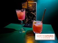 Zanzi : bar à cocktails à Paris, nos photos