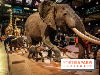 Visuels musée et monument intérieur muséum histoire naturelle