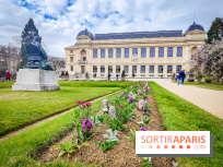 Visuels musée et monument - muséum histoire naturelle jardin des plantes