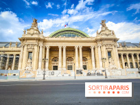 Visuels musée et monument - Grand Palais travaux