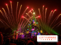 30 ans Disneyland Paris : Disney Illumination Feu d'artifice