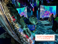 Ephemera, le premier restaurant immersif à Paris