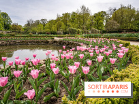 Le Château de Saint-Jean de Beauregard et son Jardin remarquable