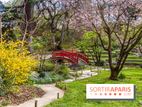 Les jardins du Musée Albert Kahn, nos photos