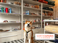 Barkers+Brothers, le concept store canin pour chouchouter son chien à Montmartre