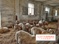 Le Château de Rambouillet et sa Bergerie nationale, un domaine d'exception en Ile-de-France