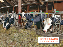 Le Château de Rambouillet et sa Bergerie nationale, un domaine d'exception en Ile-de-France