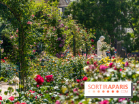 Photos La roseraie du Jardin des Plantes 