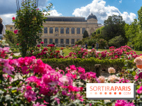 Photos La roseraie du Jardin des Plantes 