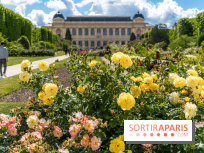 Photos La roseraie du Jardin des Plantes 