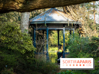 Arboretum de la Vallée-aux-Loups, une balade au milieu des arbres remarquables