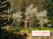 Arboretum de la Vallée-aux-Loups, une balade au milieu des arbres remarquables