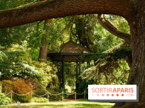 Arboretum de la Vallée-aux-Loups, une balade au milieu des arbres remarquables