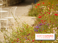 l'Île des Impressionnistes à Chatou