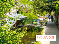 La promenade des petits ponts dans la vallée de Chevreuse -  A7C3889
