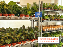 Plantes pour Tous, les prochaines ventes de plantes à partir de 2€ à Paris