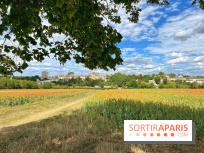Houdan, ville médiévale et balade historique dans les Yvelines