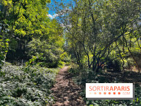 Balade sur la Petite Ceinture du 14 au 16e arrondissement : un sentier nature dépaysant