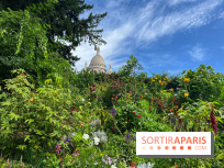 Visuels Paris - montmartre sacré cœur
