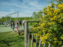 Le parc départemental des Lilas, le grand parc arboré de Vitry-sur-Seine (94) 