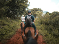 Balade cheval forêt Fontainebleau