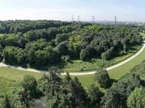 Le parc de la Butte Pinson, le spot verdoyant pour se croire en forêt, à Villetaneuse (93)