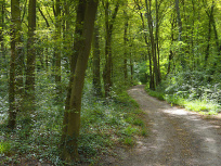 Parc de la Fosse Maussoin