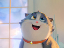 Croquette, le chat merveilleux, le film d'animation familial à découvrir en octobre 2024