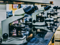visuel sciences