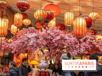 Le Nouvel an Chinois dans le 13e à Paris 2020