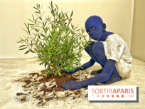 Le Chant des Forêts, l'exposition sensible et gratuite du Maif Social Club