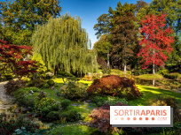 Le Jardin japonais du Château de Courances