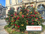Noël Paris visuels - cadeau - sapin - Marché de Noël - cadeau de Noël - décoration - Mairie 11e