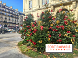 Noël Paris visuels - cadeau - sapin - Marché de Noël - cadeau de Noël - décoration - Mairie 11e