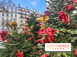Noël Paris visuels - cadeau - sapin - Marché de Noël - cadeau de Noël - décoration - Mairie 11e