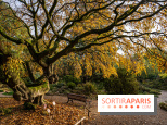 Le Jardin Alpin caché du Jardin des Plantes