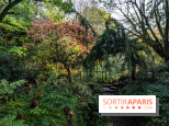 Le Jardin Alpin caché du Jardin des Plantes