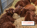 Salon de l'agriculture 2023