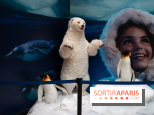 Aquarium Sea Life