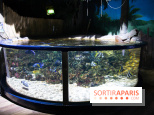 Aquarium Sea Life