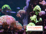 Aquarium Sea Life