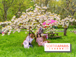 Le Moulin jaune - Hanami 2023