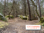 Barbizon, le village entre art et nature