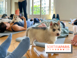 Puppy Yoga