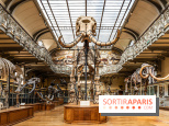 Le mammouth de Durfort restauré au Muséum national d’Histoire naturelle