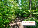 Balade nature dans la forêt de Montmorency, nos photos