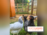 La ferme de la Villette et ses animaux