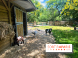 La ferme de la Villette et ses animaux